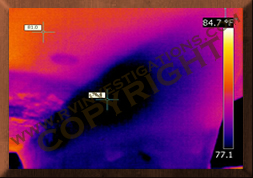 Marine/Boat Infrared Thermography Hull Structual Analysis