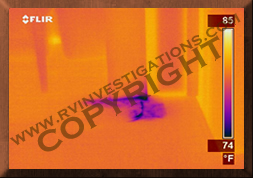 Motorhome/RV Infrared Thermography Water Intrusion Analysis